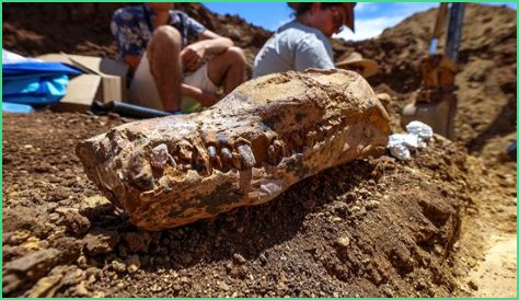 Unveiling Kaylee Kaneshiro's Enigmatic Dating Life: Discoveries And Insights