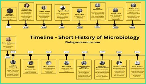 Unveiling The Significance Of Rodrigo Espinoza's Age: Discoveries And Insights